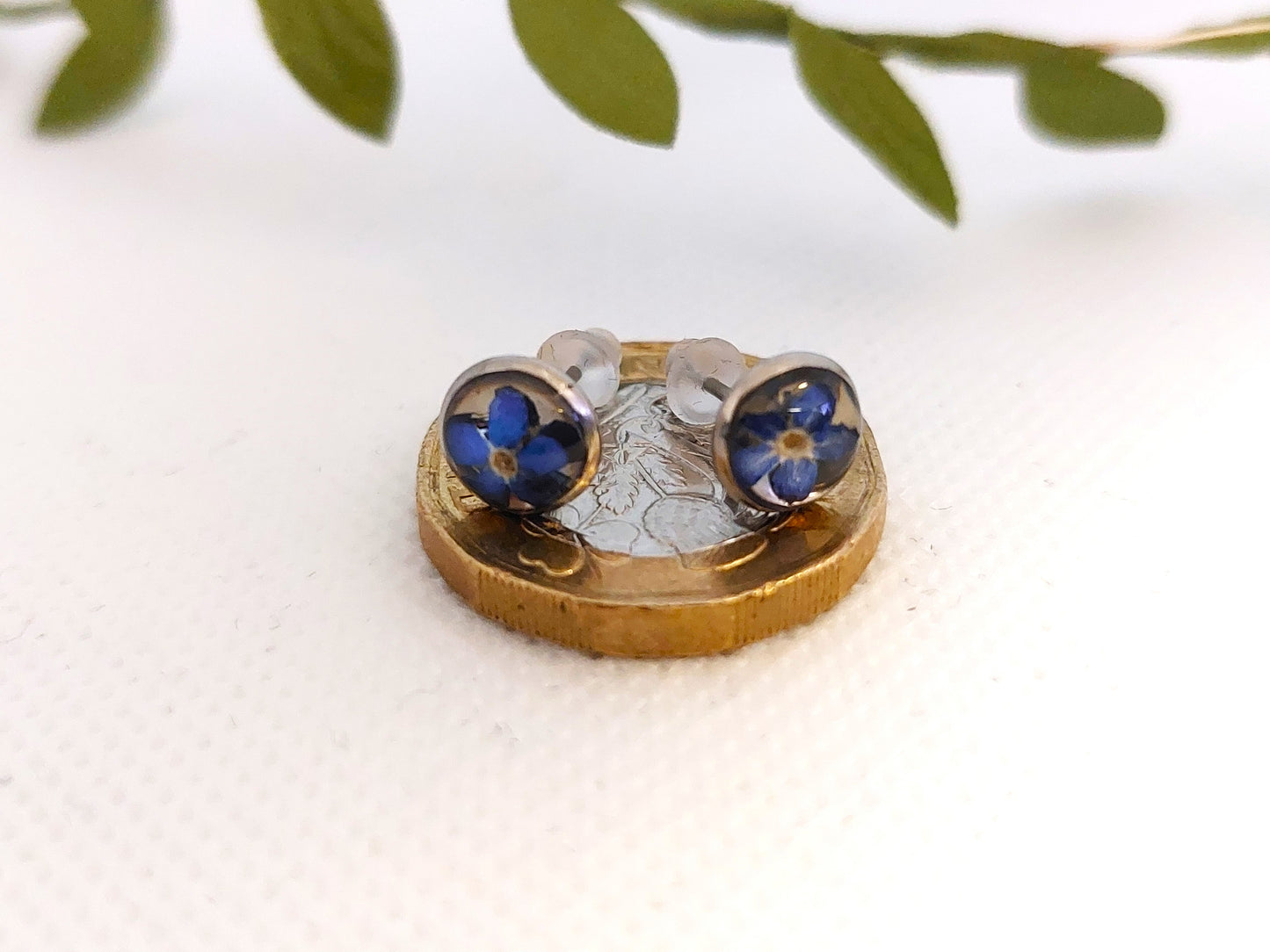 Preserved Micro Forget Me Not Resin Stud Earrings