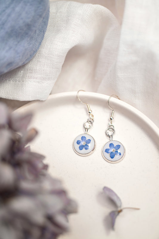 Round Real Dried Single Forget Me Not Delicate Dangle Earrings